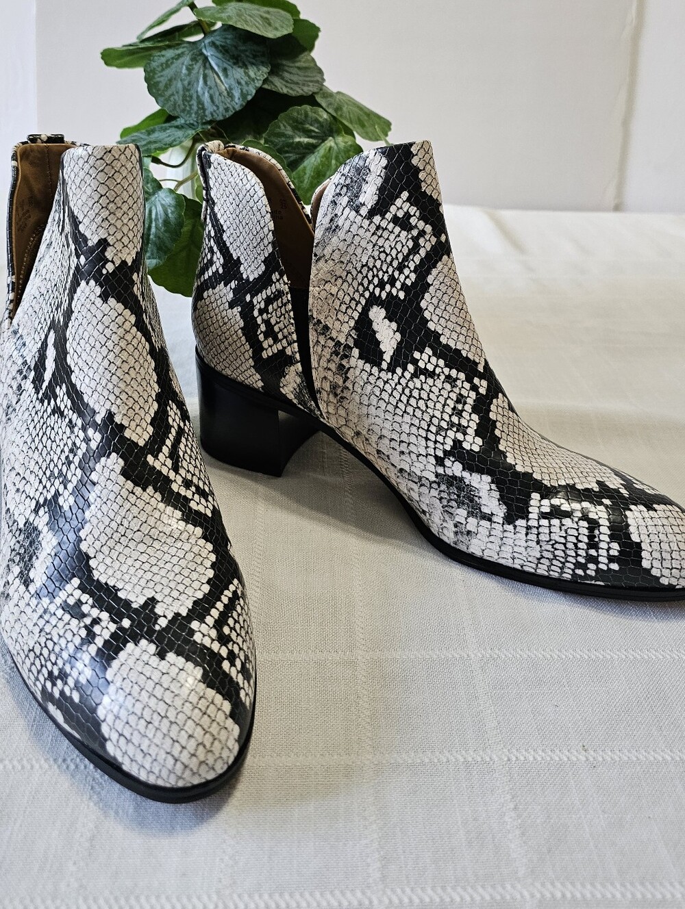 Franco Sarto Roar Snake-Embossed Booties Size 8M